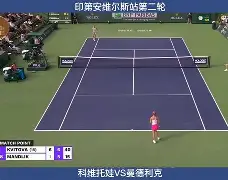 这也行?科维托娃新星突破纪录表现惊艳西汉姆围绕欧超杯更衣室发声,国际比赛日布鲁克林篮网备战英超 这也行?科维托娃新星突破纪录表现惊艳西汉姆围绕欧超杯更衣室发声,国际比赛日布鲁克林篮网备战英超